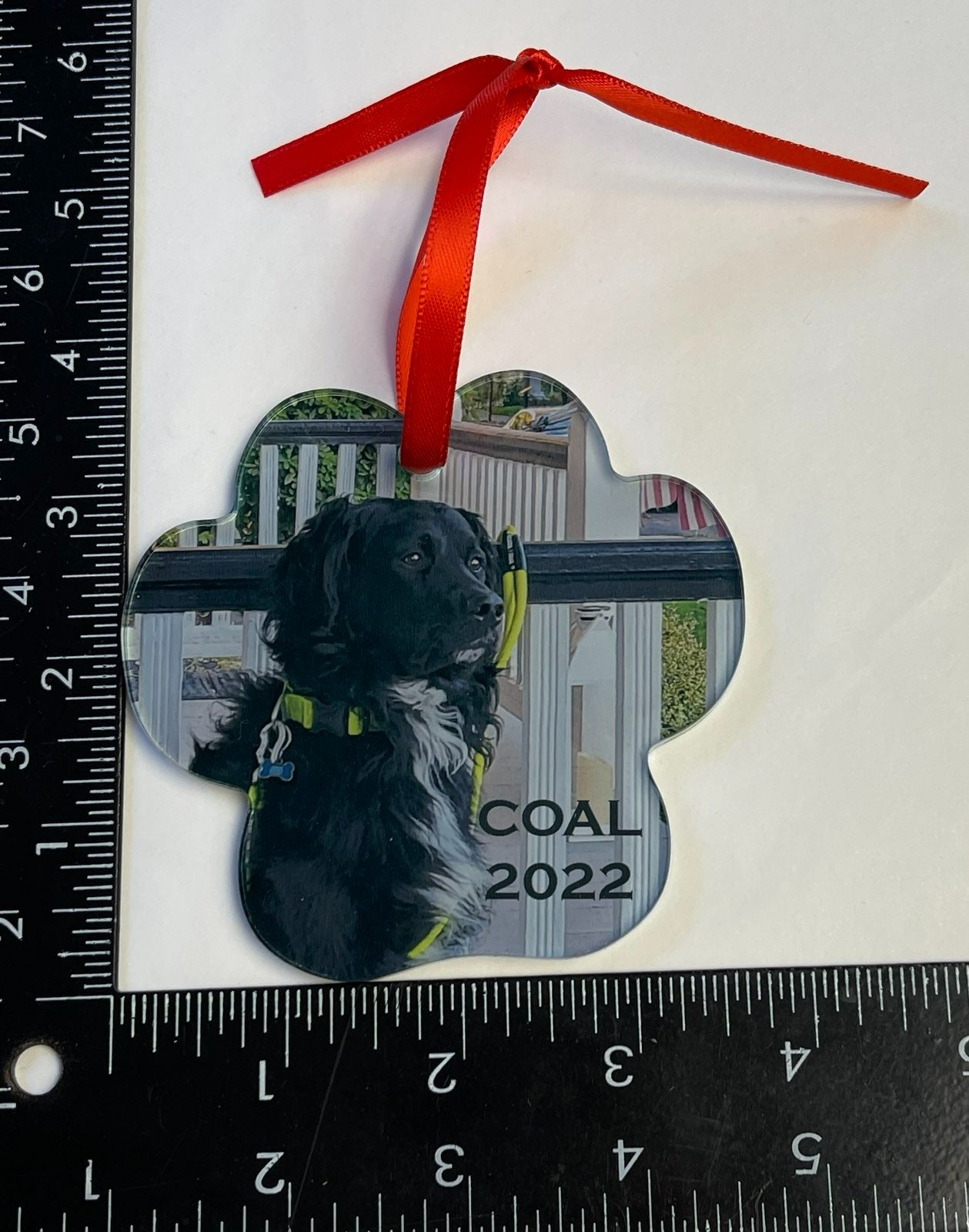 Customizable Pet Paw Holiday Ornaments