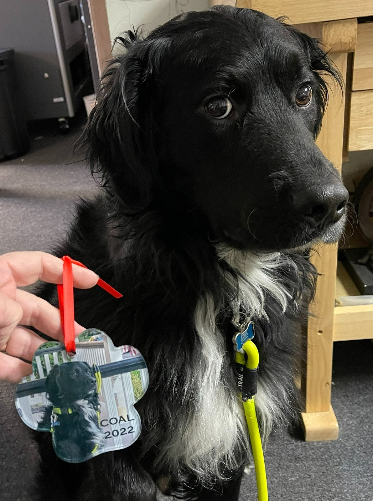 Customizable Pet Paw Holiday Ornaments